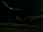 200703042052000.jpg